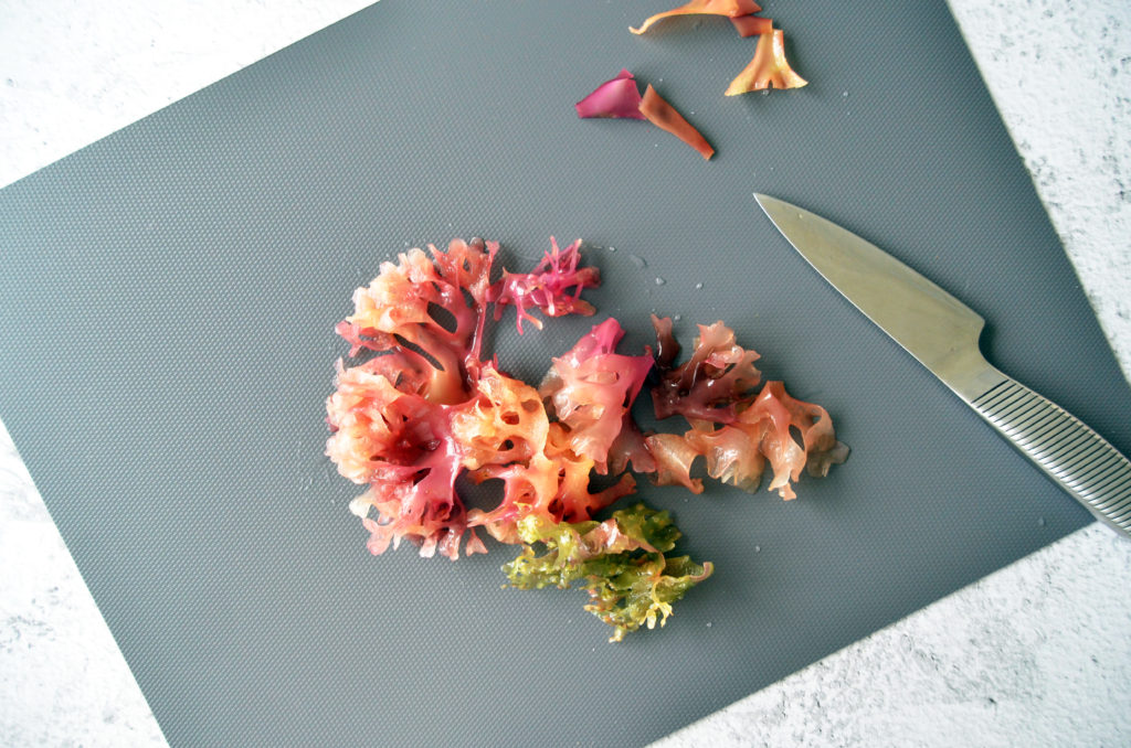 Use of Carrageenan and Agar in Vegan Cheese Making Gurme Vegan