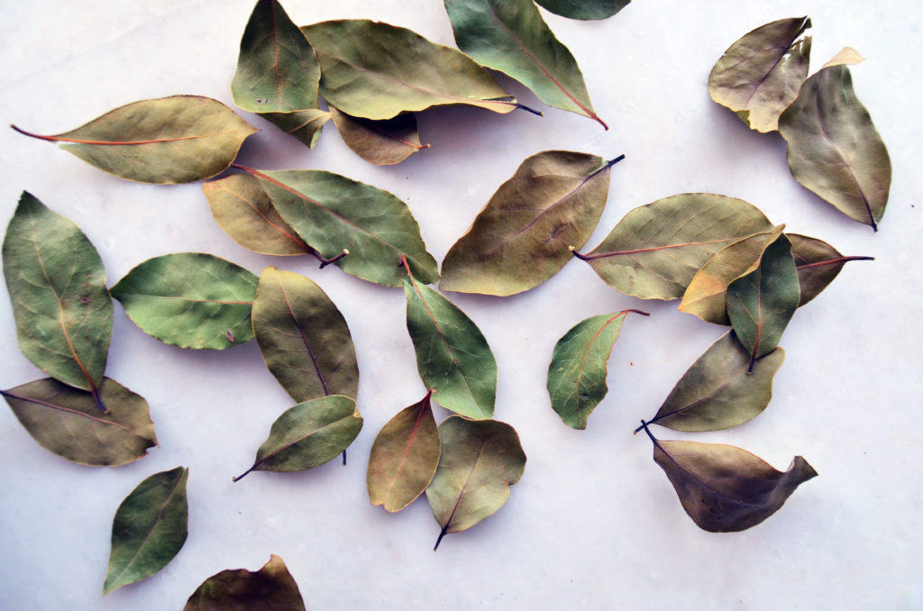 How to Dry Bay Leaves at Home Gurme Vegan