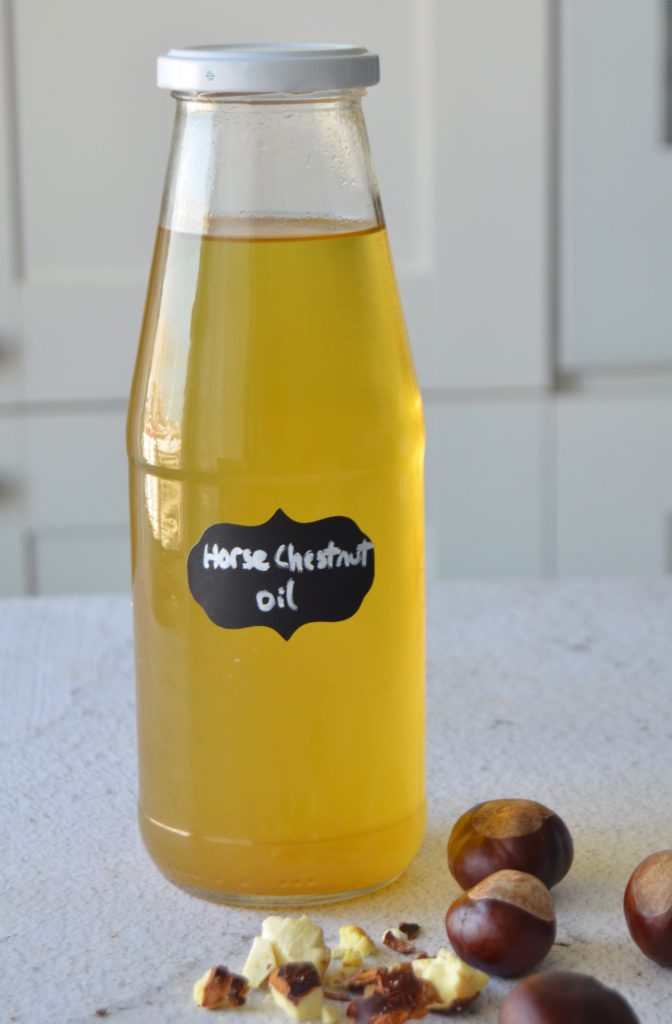 A Guide to Use of Horse Chestnuts w/ Oil & Salve Recipes Gurme Vegan